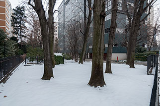via Ippolito Nievo, Milano/Milan; apartment building, Luigi Caccia Dominioni, snow, trees